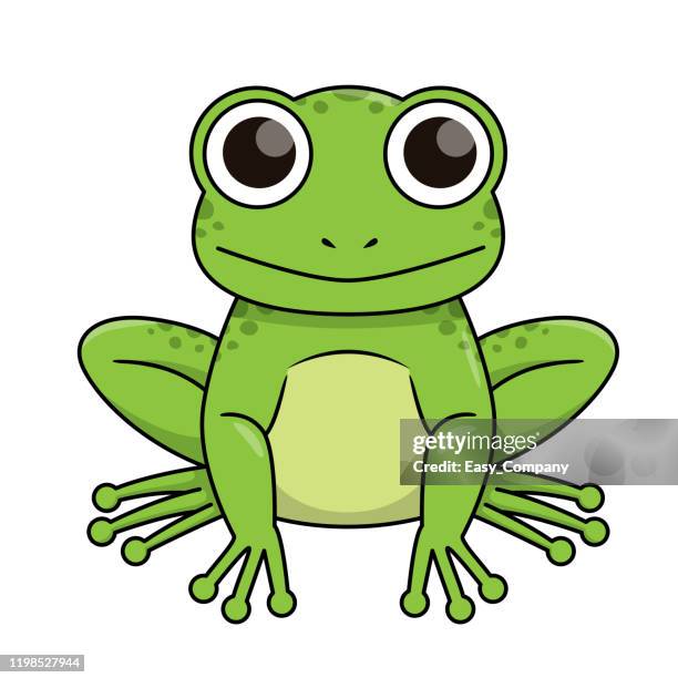 vector illustration of frog isolated on white background. - frog jump stock illustrations