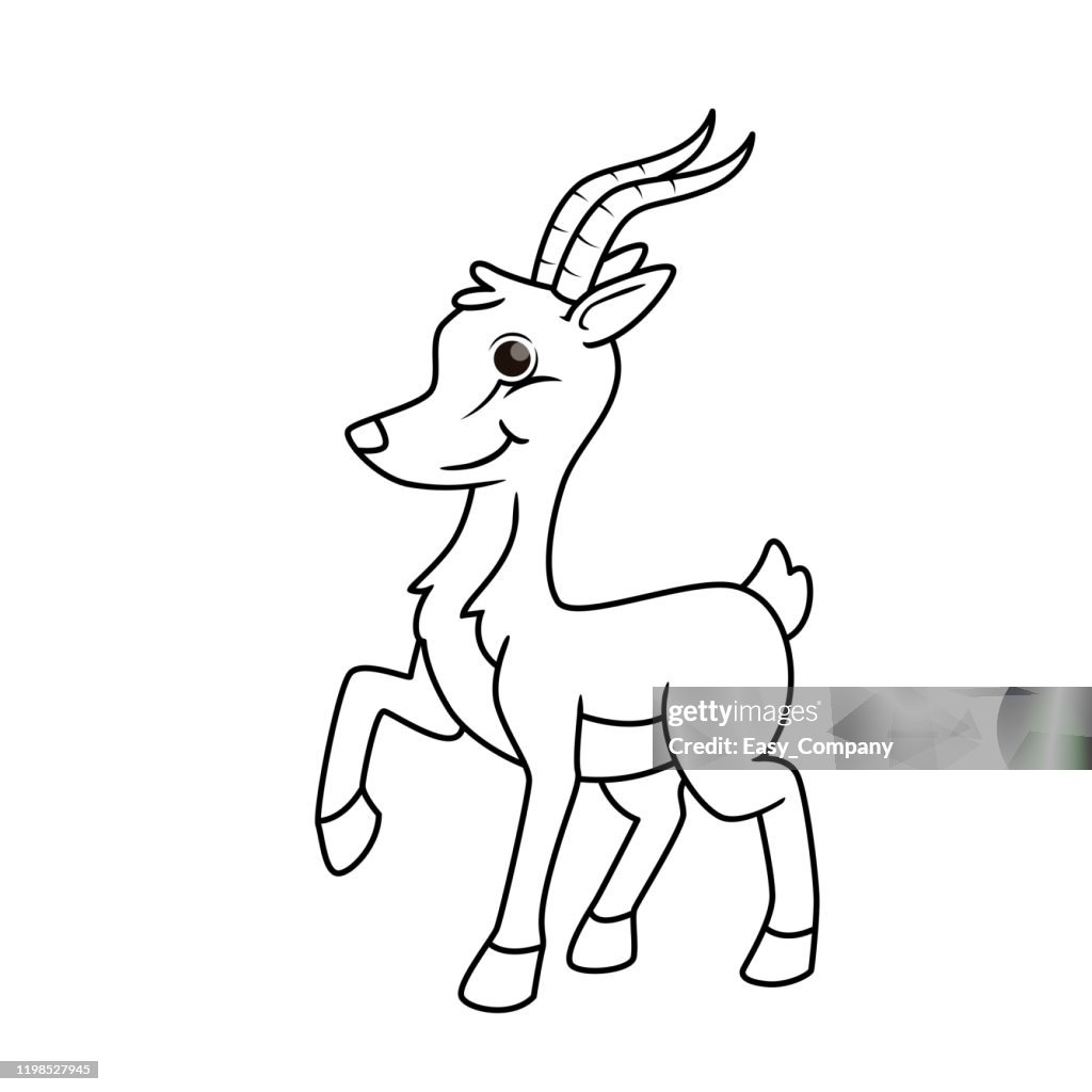 Vector illustration of gazelle isolated on white background. For kids coloring book.