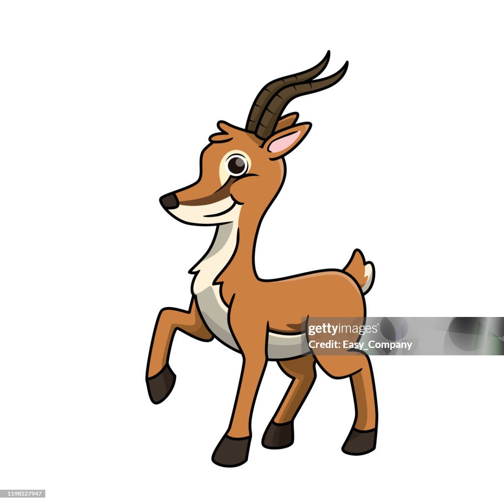 Vector illustration of gazelle isolated on white background.