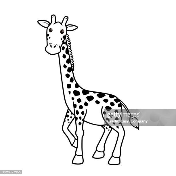 bildbanksillustrationer, clip art samt tecknat material och ikoner med giraff seriefigurer isolerade på vit bakgrund. för barn målarbok. - giraff