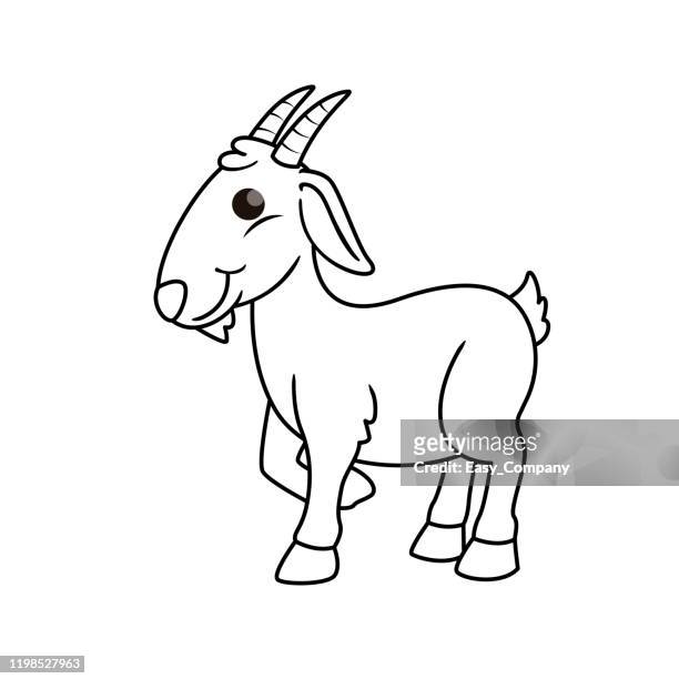 34 Kid Goat High Res Illustrations - Getty Images