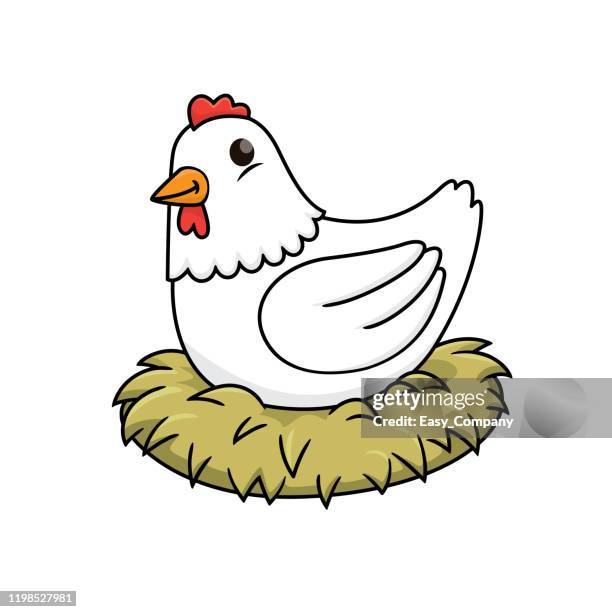 vector illustration of hen isolated on white background. - incubating stock illustrations