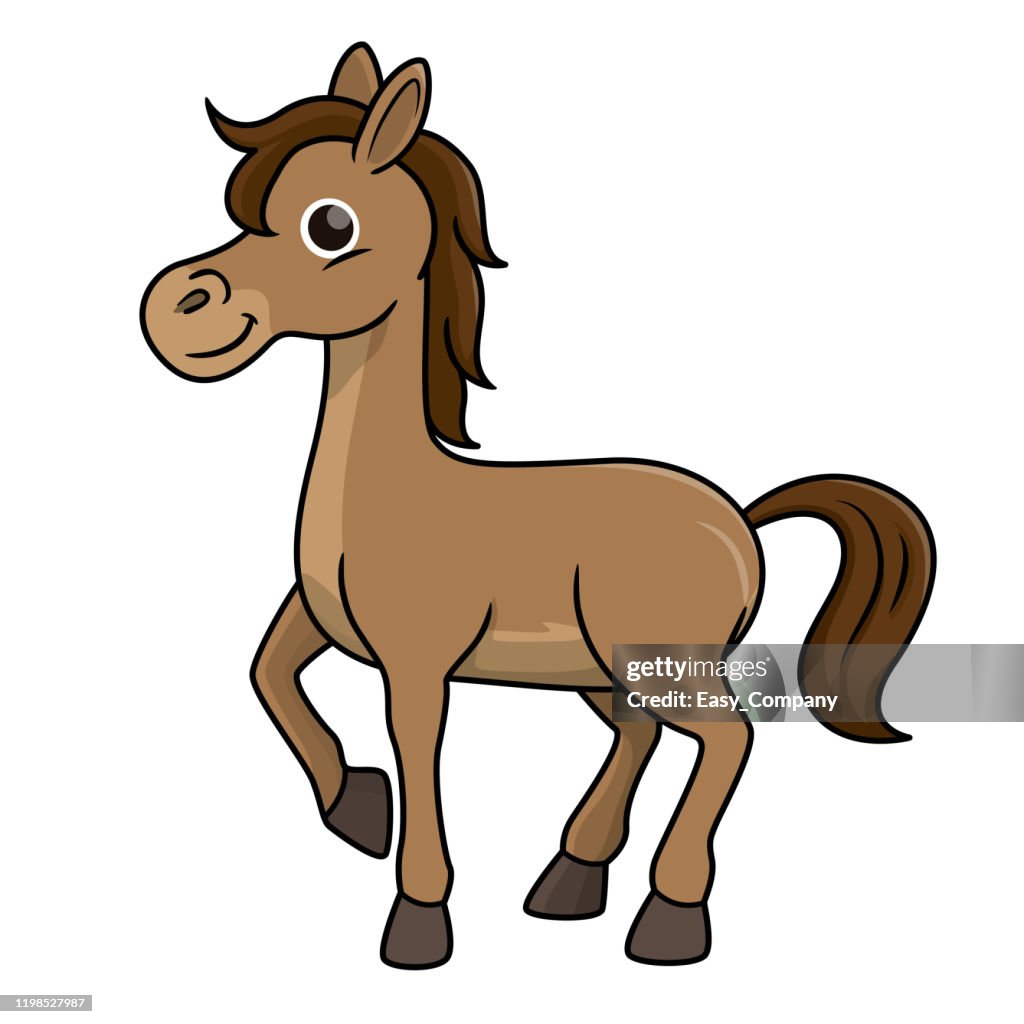 Vector illustration of horse isolated on white background.