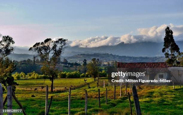live boyaca natural. nueva vida en el campo. - township stock pictures, royalty-free photos & images