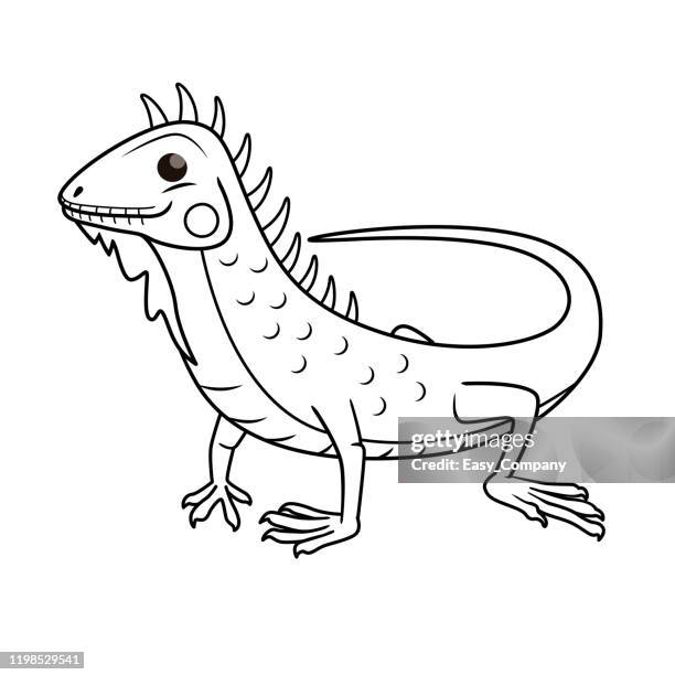 ilustraciones, imágenes clip art, dibujos animados e iconos de stock de ilustración vectorial de iguana aislada sobre fondo blanco. para niños libro para colorear. - land iguana