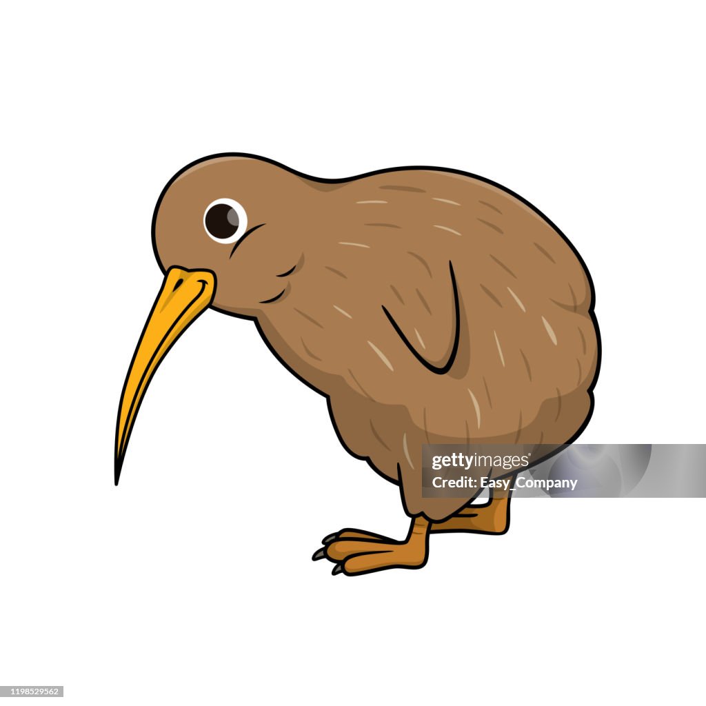 Vector Illustration Of Kiwi Bird Isolated On White Background High-Res  Vector Graphic - Getty Images