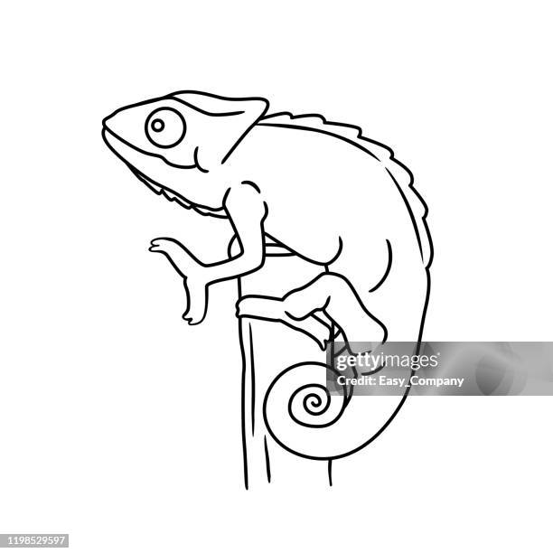 vector illustration of lizard isolated on white background. for kids coloring book. - chameleon tongue stock illustrations