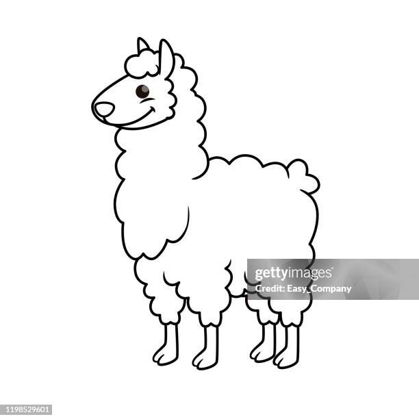 vector illustration of llama isolated on white background. for kids coloring book. - guanaco stock illustrations