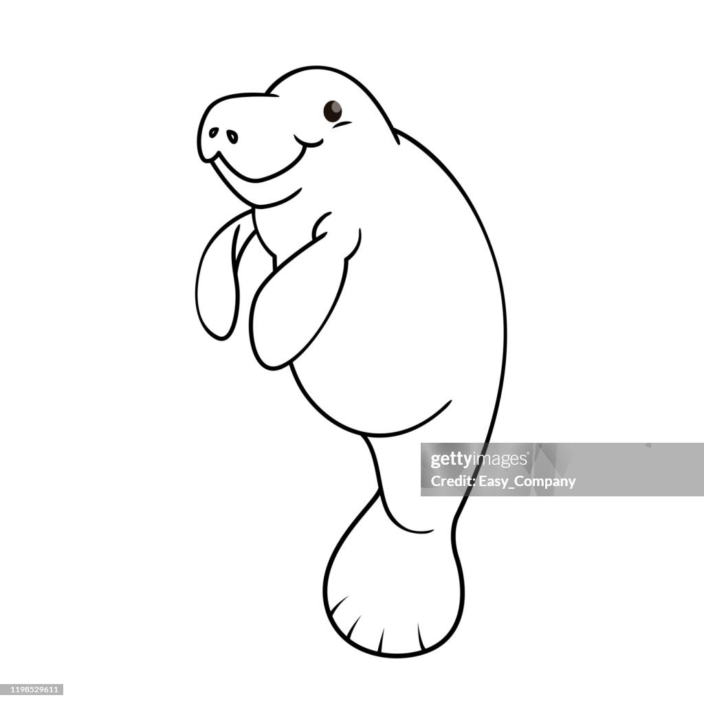 Vector illustration of manatee isolated on white background.
