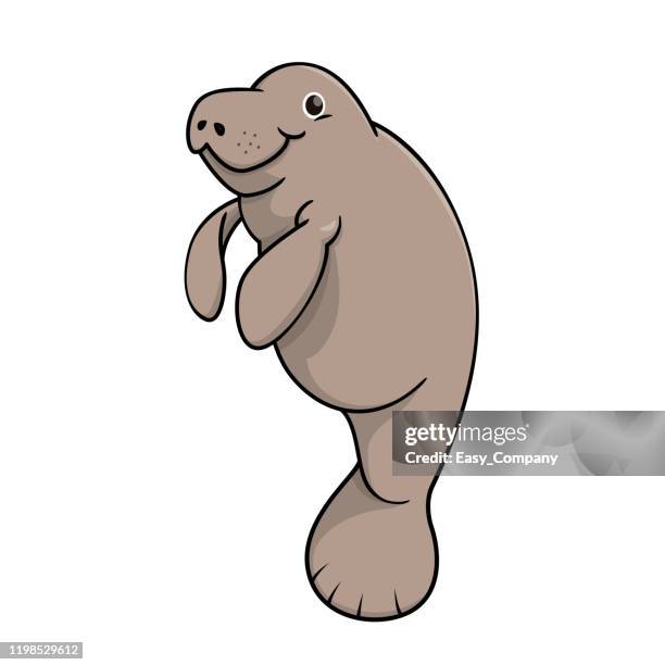 ilustraciones, imágenes clip art, dibujos animados e iconos de stock de ilustración vectorial de manatí aislado sobre fondo blanco. - especie en peligro de extinción