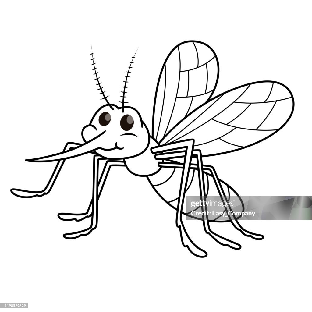 Ilustración vectorial de mosquito aislado sobre fondo blanco. Para niños libro para colorear.