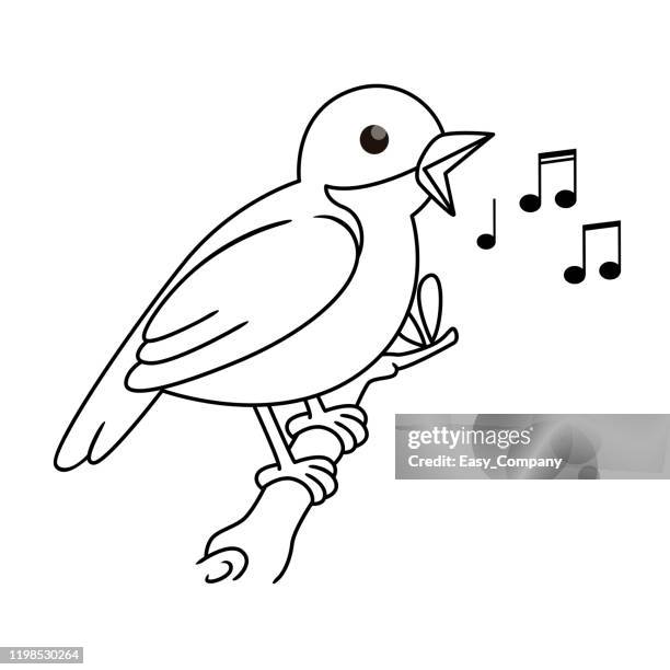 vektor-illustration der nachtigall isoliert auf weißem hintergrund. für kinder malbuch. - nightingale singing stock-grafiken, -clipart, -cartoons und -symbole