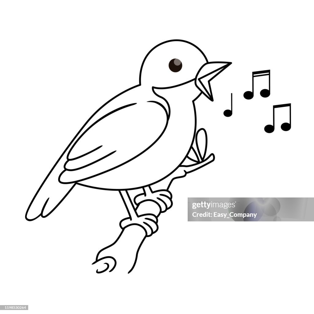 Vector illustration of nightingale isolated on white background. For kids coloring book.