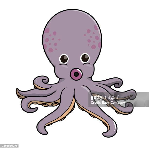 vector illustration of octopus isolated on white background. - tentacle stock illustrations