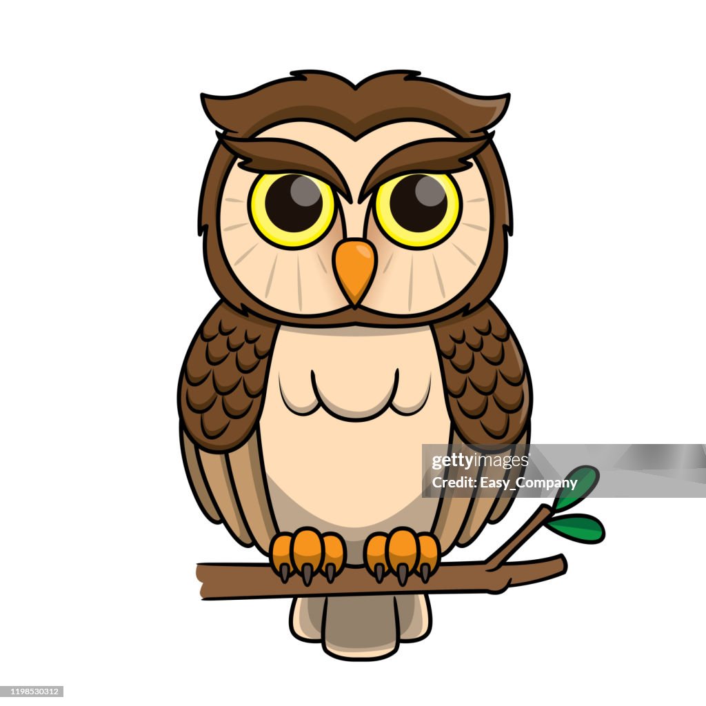 Vector illustration of owl isolated on white background.