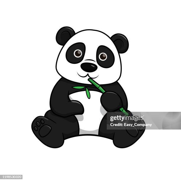 ilustraciones, imágenes clip art, dibujos animados e iconos de stock de ilustración vectorial de panda aislado sobre fondo blanco. - panda