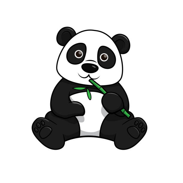vector illustration of panda isolated on white background. - zoo art stock illustrations