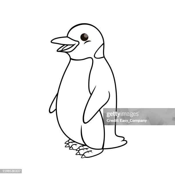 vector illustration of penguin isolated on white background. for kids coloring book. - webbed foot stock illustrations