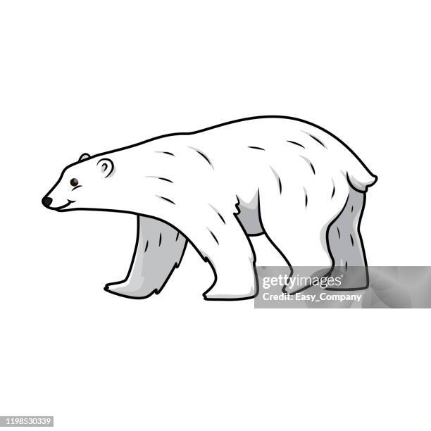 ilustraciones, imágenes clip art, dibujos animados e iconos de stock de ilustración vectorial de oso polar aislado sobre fondo blanco. - especie en peligro de extinción