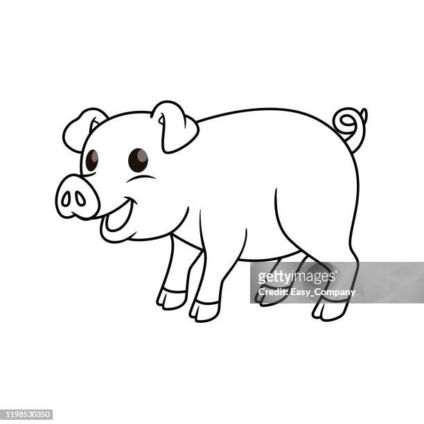  Ilustraciones de Mini Pig Drawing