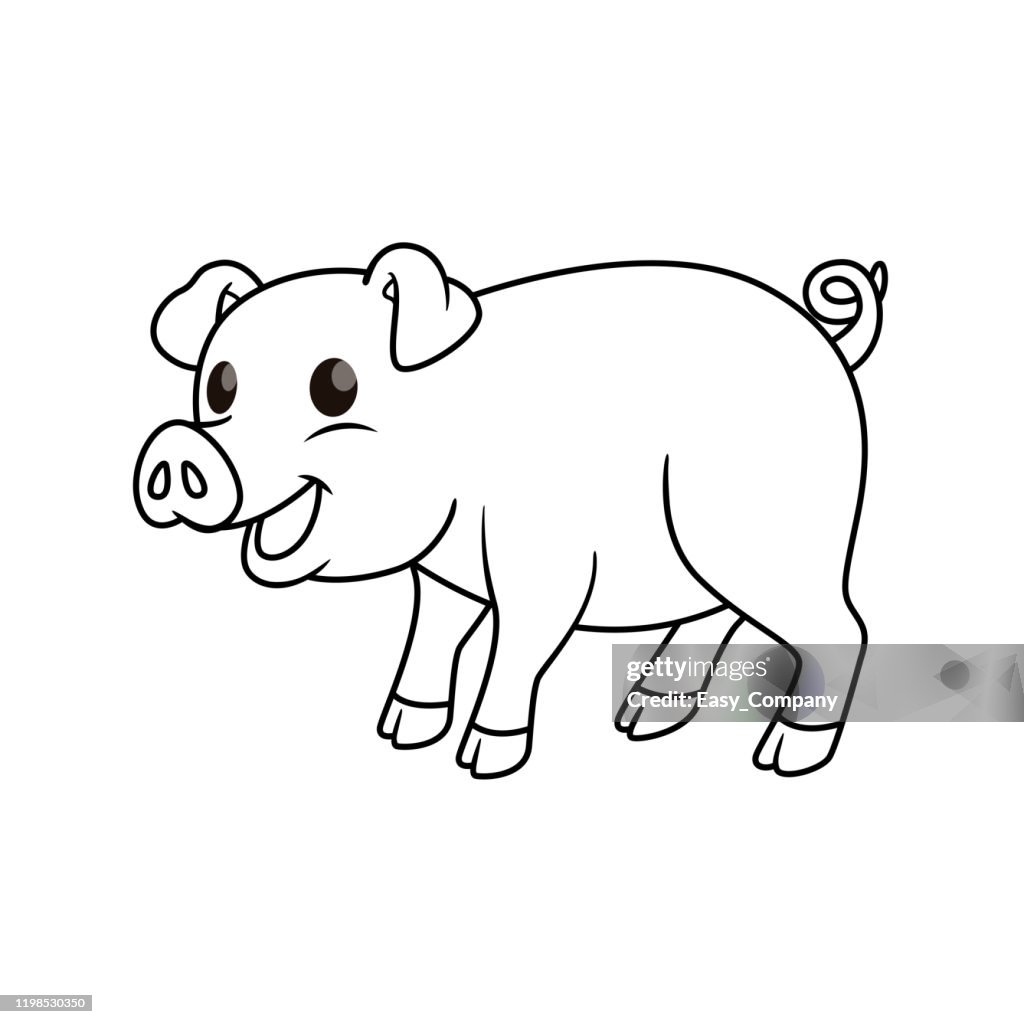Vector illustration of pig isolated on white background. For kids coloring book.