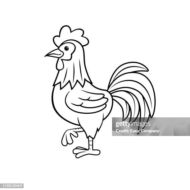 vector illustration of rooster isolated on white background. for kids coloring book. - rooster stock illustrations