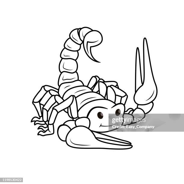 vector illustration of scorpion isolated on white background. for kids coloring book. - pedipalp stock illustrations