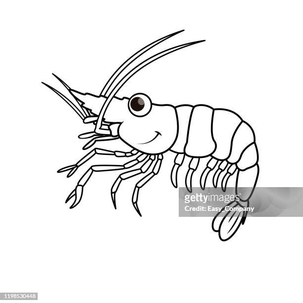 vektor-illustration von garnelen isoliert auf weißem hintergrund. für kinder malbuch. - crayfish seafood stock-grafiken, -clipart, -cartoons und -symbole
