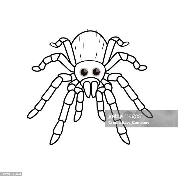 1,504 Cartoon Spider Photos and Premium High Res Pictures - Getty Images