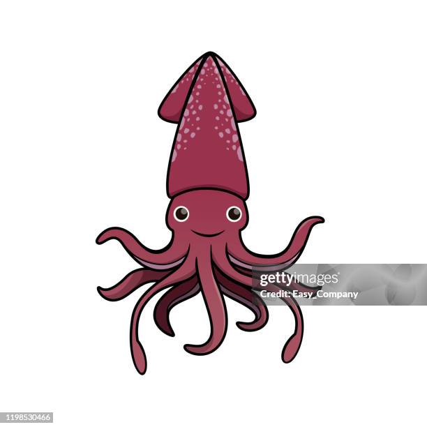 494点のイカイラスト素材 Getty Images 494点のイカイラスト素材 Getty Images