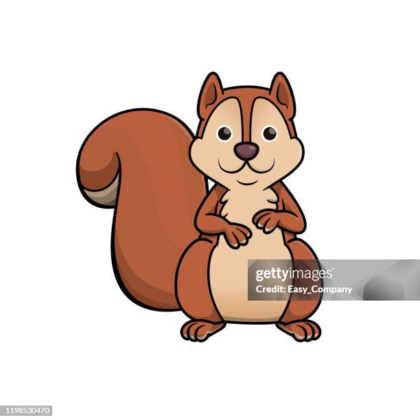 ilustrações de stock, clip art, desenhos animados e ícones de vector illustration of squirrel isolated on white background. - squirrel