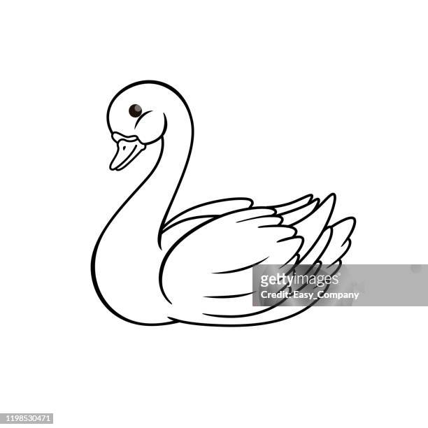 vector illustration of swan isolated on white background. for kids coloring book. - lake waterfowl stock illustrations