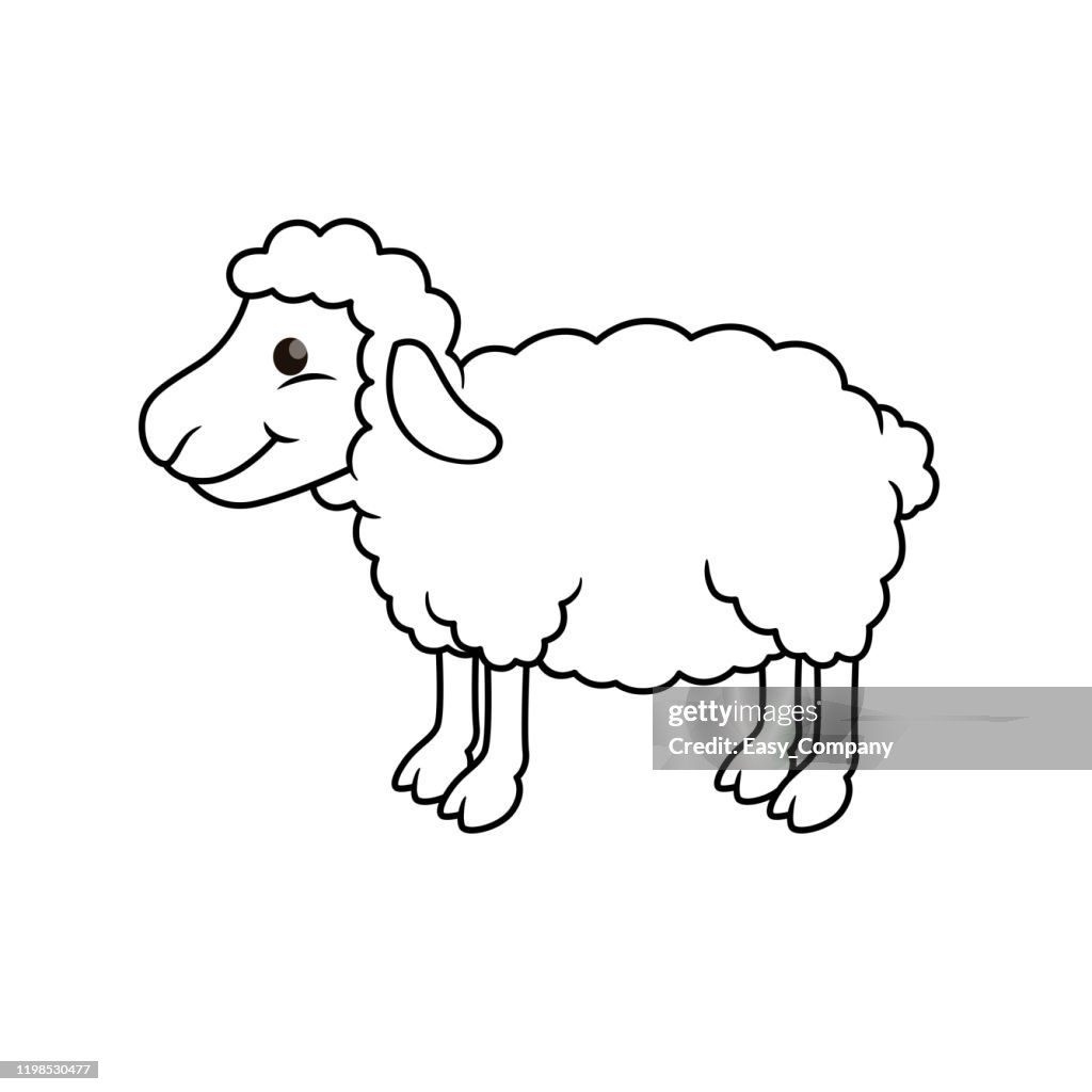 Vector illustration of sheep isolated on white background. For kids coloring book.