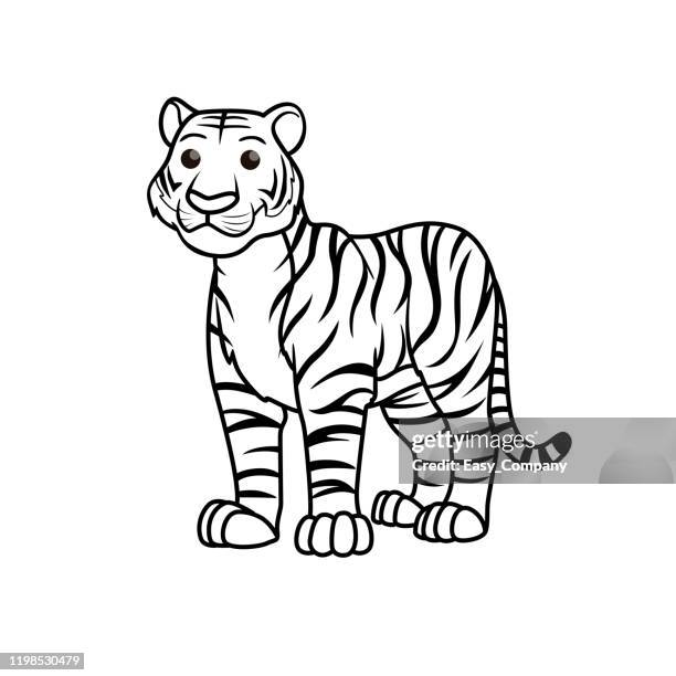vektor-illustration des tigers isoliert auf weißem hintergrund. für kinder malbuch. - malbuch stock-grafiken, -clipart, -cartoons und -symbole