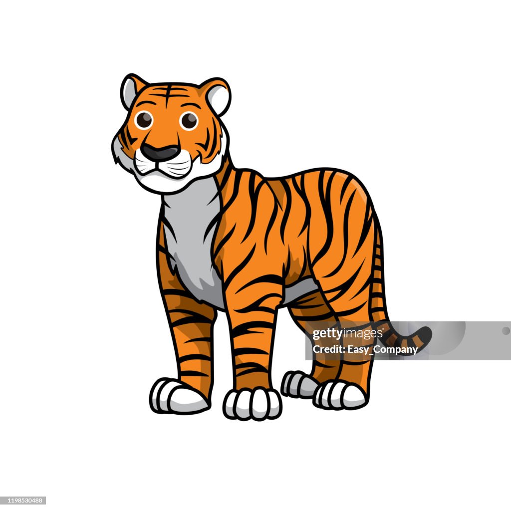 Ilustración vectorial de tigre aislado sobre fondo blanco.