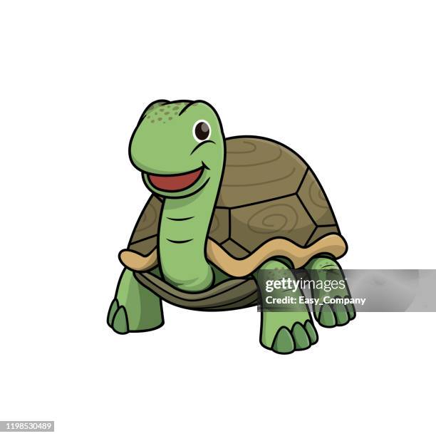 ilustrações de stock, clip art, desenhos animados e ícones de vector illustration of tortoise isolated on white background. - tartaruga gigante
