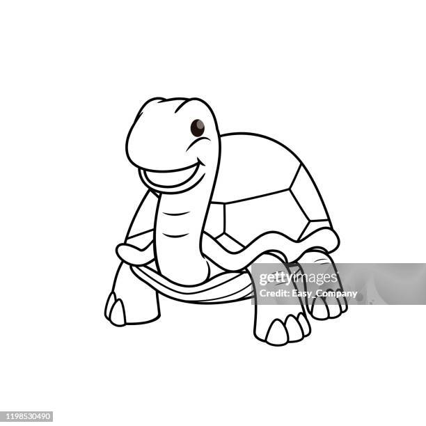 31 Ilustraciones de Tortuga Gigante - Getty Images 31 Ilustraciones de Tortuga Gigante - Getty Images