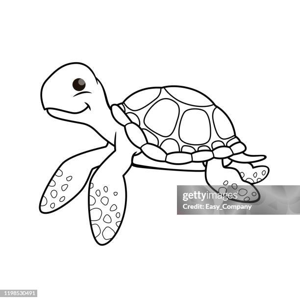 ilustrações de stock, clip art, desenhos animados e ícones de vector illustration of turtle isolated on white background. for kids coloring book. - livro de colorir