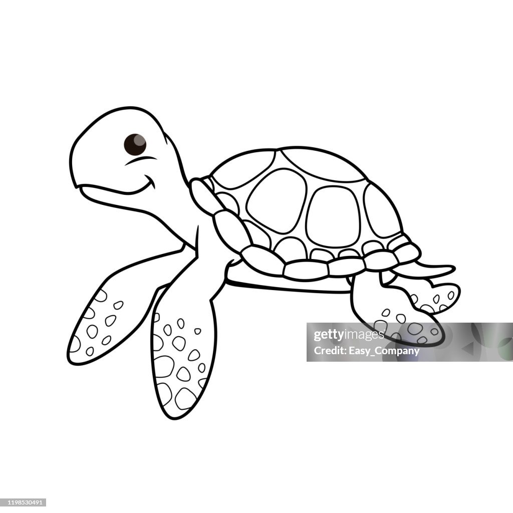 Vector illustration of turtle isolated on white background. For kids coloring book.