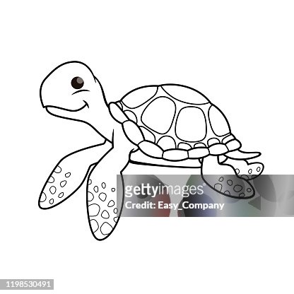 107 Cartoon Turtle Drawings High Res Illustrations - Getty Images