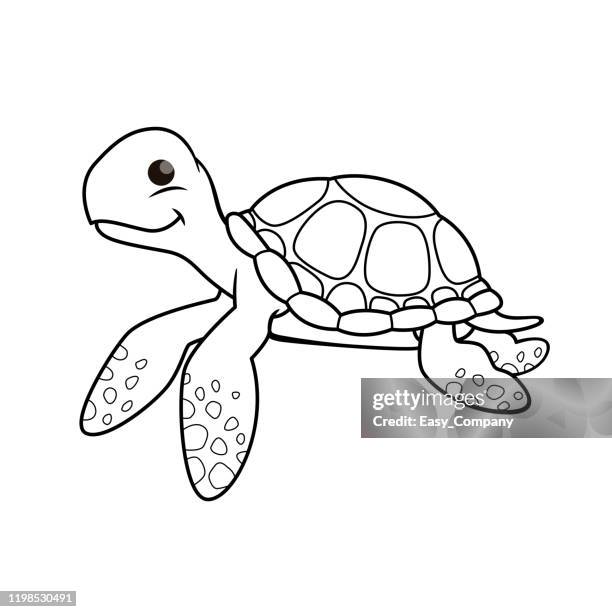 在白色背景上隔離的海龜的向量插圖。給孩子著色書。 - turtle 幅插畫檔、美工圖案、卡通及圖標