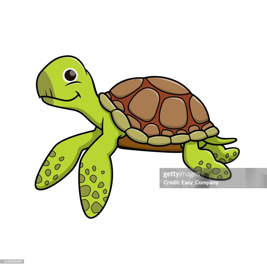 Vector illustration of turtle isolated on white background.
