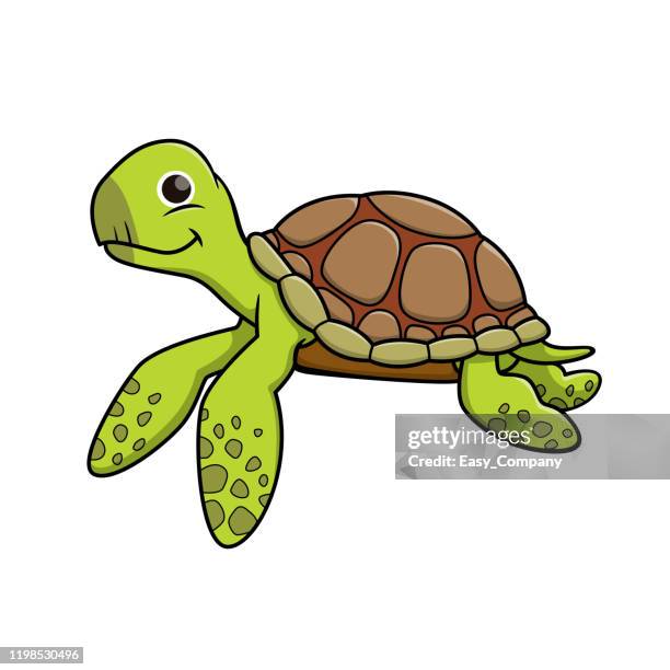 vector illustration of turtle isolated on white background. - turtle stock illustrations stock illustrations