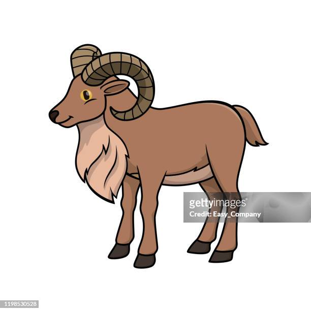 vector illustration of urial isolated on white background. - ram stock illustrations