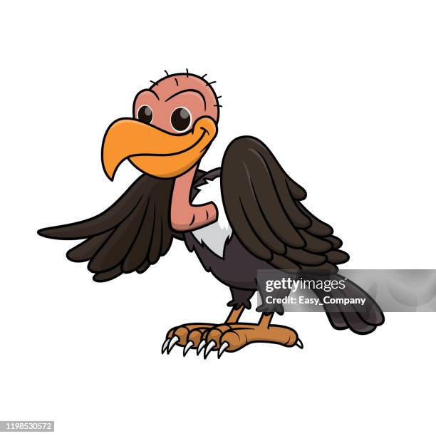 vector illustration of vulture isolated on white background. - vulture vector stock illustrations