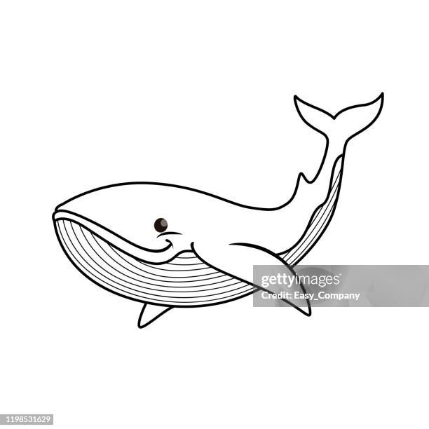 vector illustration of whale isolated on white background. for kids coloring book. - humpback whale stock illustrations