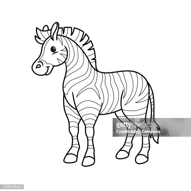 vector illustration of zebra isolated on white background. for kids coloring book. - word of mouth stock illustrations