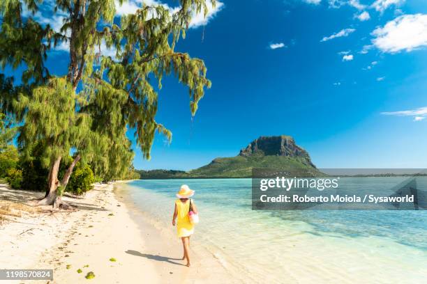 woman walking on tropical beach, indian ocean, mauritius - mauritius beach bildbanksfoton och bilder