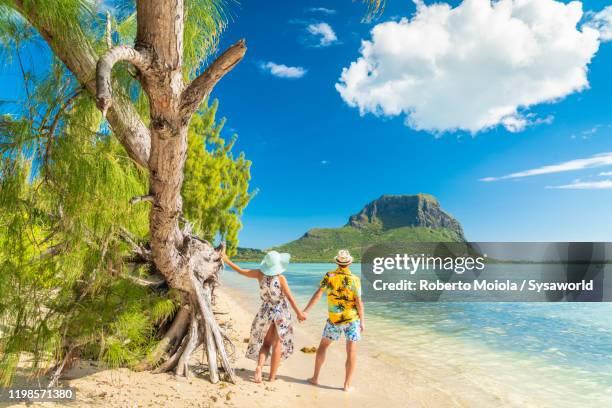 man and woman holding hands on tropical beach, indian ocean, mauritius - mauritius stockfoto's en -beelden