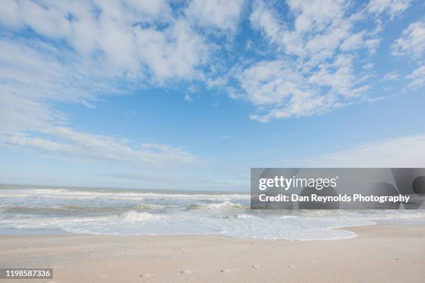 beach hdr with seagull - high dynamic range imaging 個照片及圖片檔